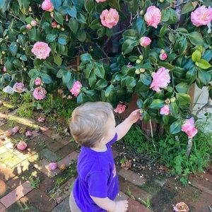 Meet your Posher, Alanna